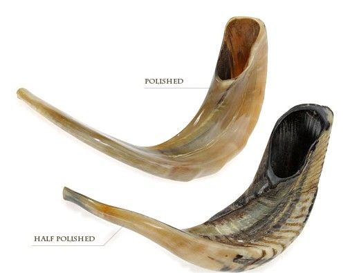 Ram's horn Shofars, A5