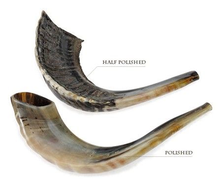 Ram's horn Shofars, B4