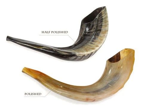 Ram's horn Shofars, C3