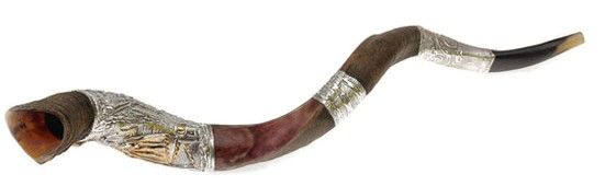 Yemenite Shofars Plated with Silver 925 Decorations, Ex-Large