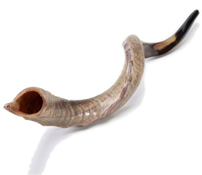 Full natural finish, with a crown along its length