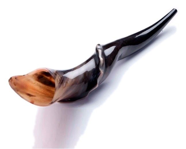 Eland shofar