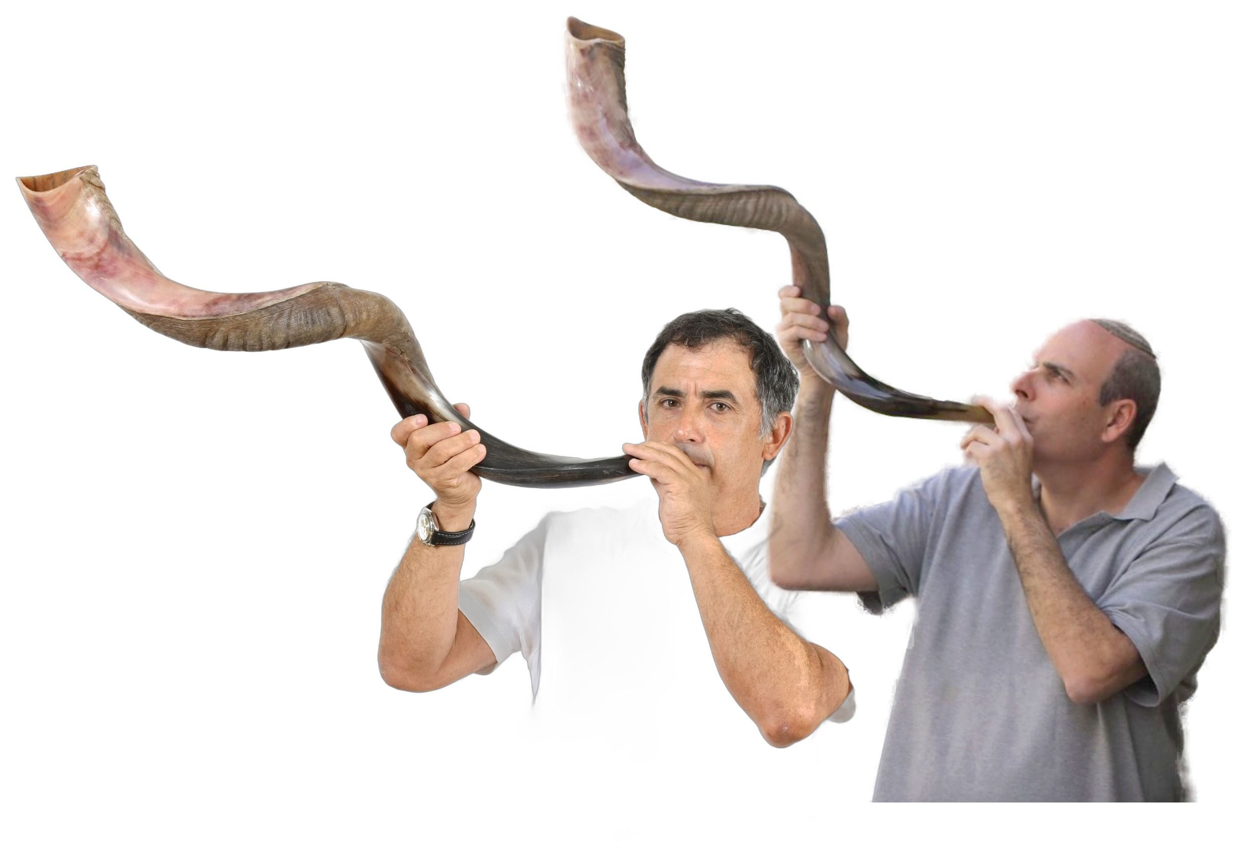 Zvi Bar-Sheshet and Eli Ribak sounding long Yemenite shofars